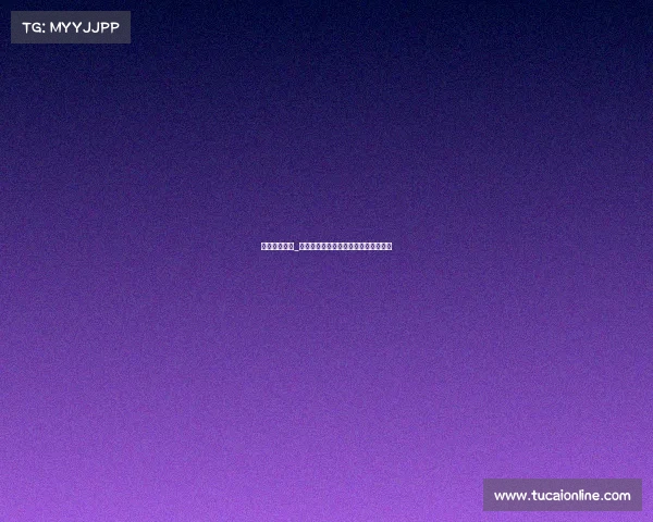 成都拳击赛事_武侯争锋风云际会成都搏击拳脚论英雄