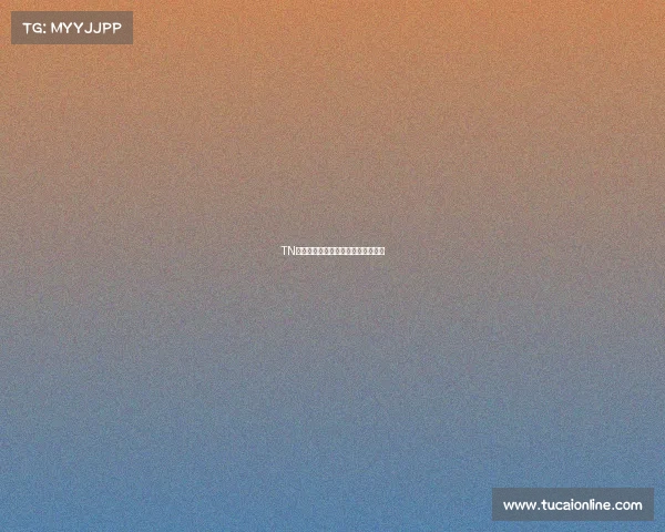 TN电竞风云录：揭秘领军者的崛起之路